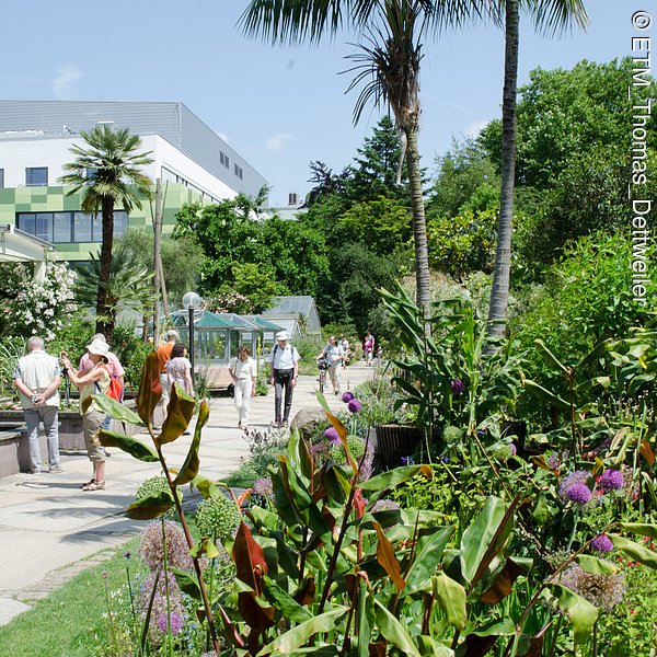 Botanischergarten