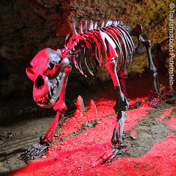 Skelett in Teufelshöhle Pottenstein